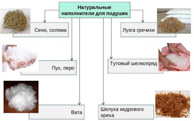 натуральные наполнители для подушек