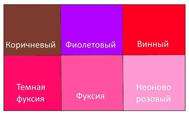 Цвет фуксия