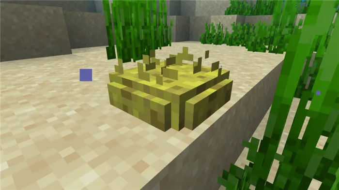 Губки Minecraft