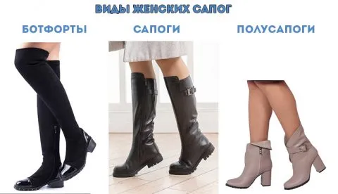 Женские сапоги.