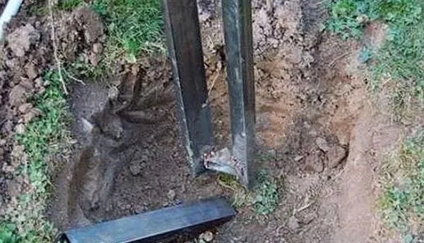 укрепление несущих опор